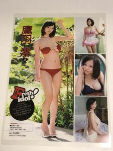 [150μフィルム厚手ラミネート加工］　鷹羽澪1ページ　雑誌の切り抜き　ビキニ　メイドコス水着　加山しょうこ　グラビアデビュー