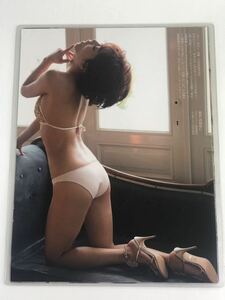 [150μフィルム厚手ラミネート加工］　釈由美子8ページ　雑誌の切り抜き　ビキニ水着　プレミアムボデーグラビア