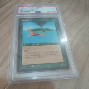 出品６月まで　PSA7 極楽鳥 Birds of Paradise 第4版 日本語 黒枠 MTG