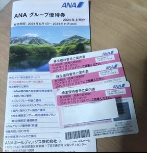 ANA株主優待券３枚（ANAグループ優待券付） 2025年5月31日まで　送料無料