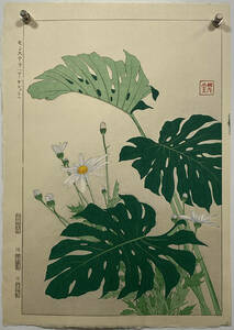 [ genuine work ]# river . cape .. hand . woodblock print #[ japanese flower .....[ monstera ( Margaret )]] P003