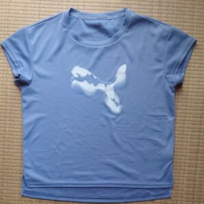 PUMA Tシャツ吸湿速乾 プーマ レディース