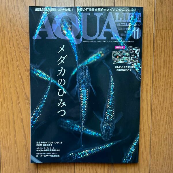 月刊アクアライフ ２０２１年１１月号 （エムピージェー） AQUALIFE No508