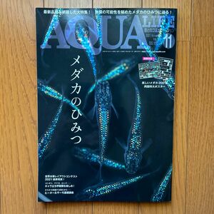 月刊アクアライフ ２０２１年１１月号 （エムピージェー） AQUALIFE No508