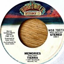 7'' Tierra Memories/Time To Dance latin soul disco funk chicano northern soul modern rock boogaloo salsa ラテン ソウル チカーノ_画像1