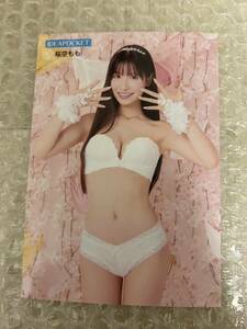 桜空もも FANZA SHOP TOKYO ショップ限定 生写真　春のパンツ祭り2024