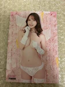 伊藤舞雪　FANZA SHOP TOKYO ショップ限定 生写真　春のパンツ祭り　2024