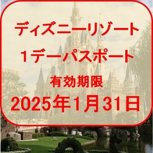 ディズニー　1枚〜6枚　ディズニーランド　ディズニーシー　チケット　パスポート　2枚　3枚　4枚　5枚