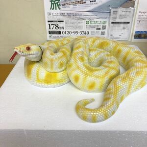 幸運のヘビ♪〜・飾り用