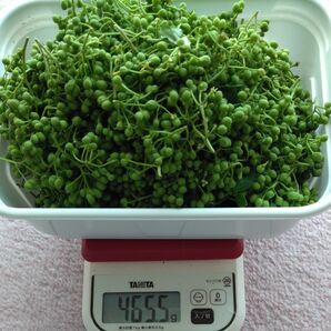 朝倉山椒400g