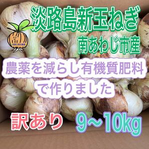 【9】淡路島新玉ねぎ 南あわじ市産 訳あり 9〜10kg