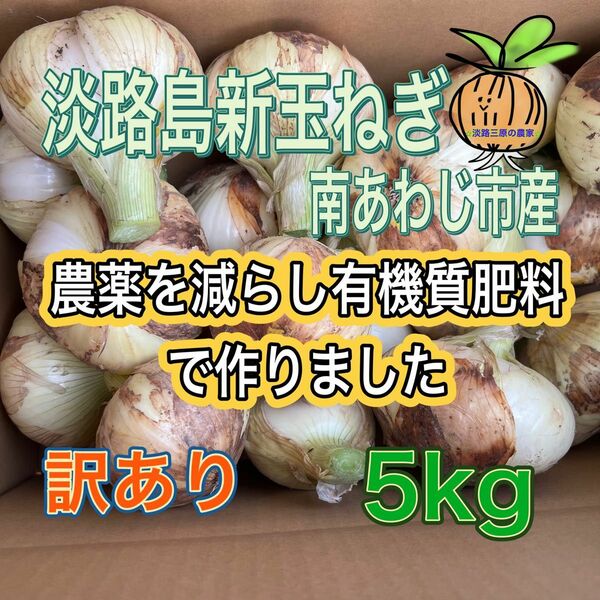 【5】淡路島新玉ねぎ 南あわじ市産 訳あり 5kg