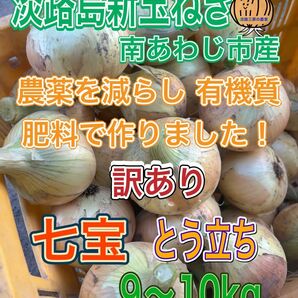 （立9）淡路島新玉ねぎ 南あわじ市産 訳あり とう立ち 9〜10kg 七宝