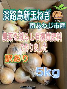 【5】淡路島新玉ねぎ 南あわじ市産 訳あり 5kg 七宝