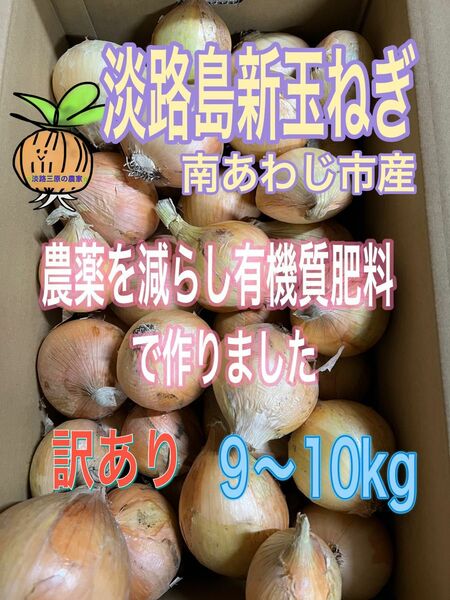 【9】淡路島新玉ねぎ 南あわじ市産 訳あり 9〜10kg 七宝