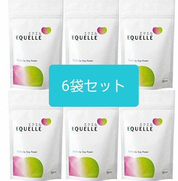 大塚製薬エクエル　120粒　6袋セット　 エクエル