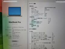 Apple MacBook Pro 16(2019, A2141) Core i9-9980HK / 2.4GHz / RAM 32GB / SSD 1TB / シルバー / 充放電回数 : 230 [MC037]_画像8