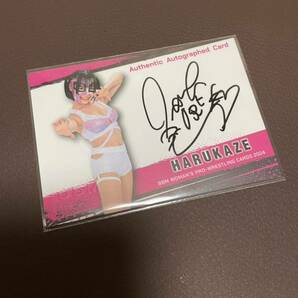 BBM 2024 女子プロレス HARUKAZE 100枚限定 直筆サインカード WOMAN'S PRO-WRESTLINGの画像1