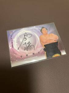 琴櫻 傑太 BBM2024 大相撲カード 響 60枚限定 直筆サインカード SUMO CARDS 琴櫻傑太　大関