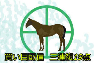 ☆JRA 競馬予想☆1か月4週8日間配信 1日厳選3レース 3連複 19点 