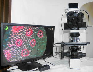  Olympus BX40 top class microscope used against thing lens 4ps.@ attached japanese manual attaching receipt will be issued 