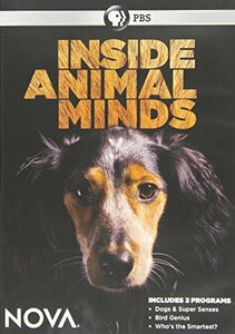 Nova: Inside Animal Minds [DVD] [Import](中古品)