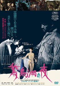 鵞鳥湖の夜 [DVD](中古品)