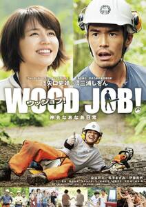 WOOD JOB! ~神去なあなあ日常~ DVDスタンダード・エディション(中古品)