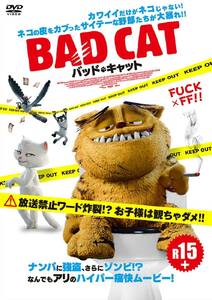 バッドキャット [DVD](中古品)