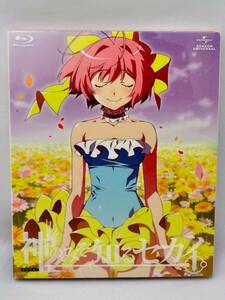 神のみぞ知るセカイ ROUTE 4.0 Blu-ray 〈初回限定版〉(中古品)