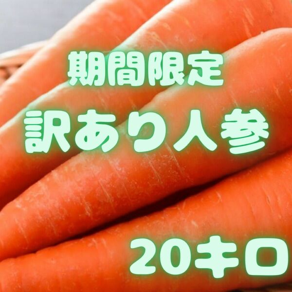 期間限定販売　にんじん　人参　訳あり　26