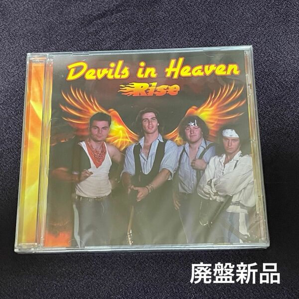 DEVILS IN HEAVEN/Rise 廃盤　メロハー