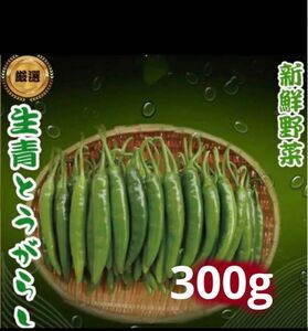 韓国青唐辛子　激辛唐辛子　300g