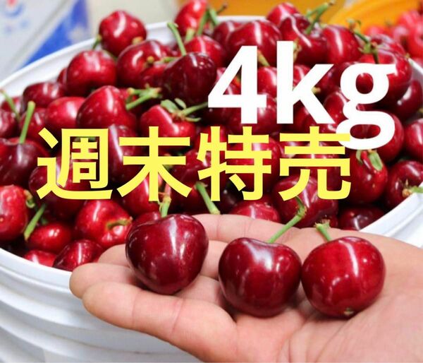 たっぷり4kg チェリー　アメリカンチェリー　チェリー　さくらんぼ　贈り物　中元　母の日　父の日