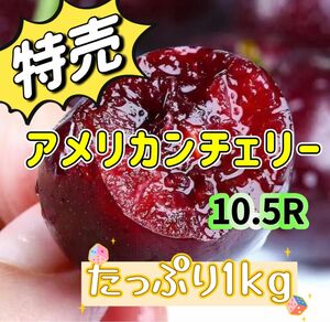 たっぷり1kg ワシントン州産ダークチェリー　アメリカンチェリー　チェリー　さくらんぼ　贈り物　中元　母の日　父の日