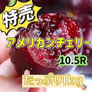 たっぷり1kg 大粒10.5r ダークチェリー　アメリカンチェリー　チェリー　さくらんぼ　贈り物　中元　母の日　父の日