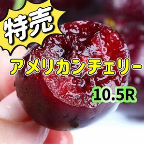 たっぷり1kg チェリー　アメリカンチェリー　チェリー　さくらんぼ　贈り物　中元　母の日　父の日