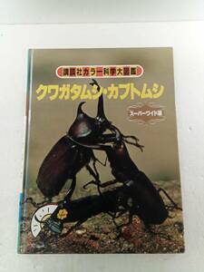 クワガタムシ・カブトムシ　講談社カラー科学大図鑑　スーパーワイド版　240530