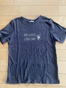 ハニーズ　Tシャツ　半袖　Mサイズ　ラテプリント