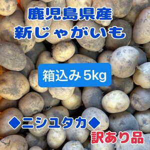 新じゃがいも◆箱込み5kg◆鹿児島県産◆ニシユタカ◆訳あり規格外◆農家直送