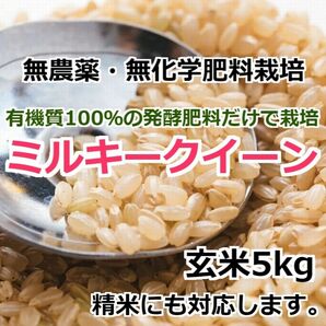 【令和5年産】無農薬栽培米・ミルキークイーン《玄米 5kg》精米にも無料対応