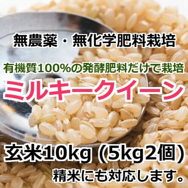 【令和5年産】無農薬栽培米・ミルキークイーン 《玄米 10kg(5kg×2袋)》精米にも無料対応