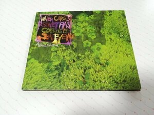 ANIMAL COLLECTIVE アニマル・コレクティヴ - WATER CURSES US盤 CD　　3-0138