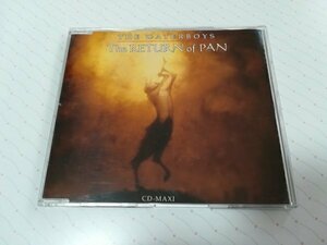 THE WATER BOYS ウォーターボーイズ 「THE RETURN OF PAN」 日本盤 CDs 93年盤　　2-0153