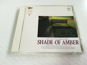アメリカ10,000マイル・ドライブ 9 SHADE OF AMBER V.A. 国内盤 CD 92年盤 ポインター・シスターズ ホール&オーツ スターシップ　　3-0341