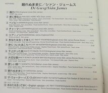 SIAN JAMES シアン・ジェームズ - DI GWSG 眠れぬままに 国内盤 CD 98年盤 帯あり　　4-0048_画像4