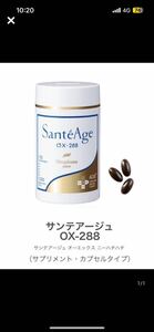  new goods Nina farm sun tea-juOX-288 180 bead 2025.07 1 piece ①