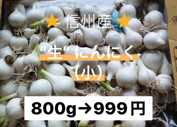 生にんにく　宅急便コンパクトいっぱい　800g〜900g　長野県産　信州産