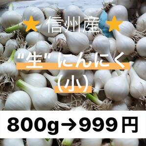 ⑥生にんにく　宅急便コンパクトいっぱい　800g〜900g　長野県産　信州産