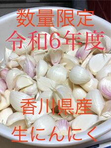 大特価　安心国産　新生にんにくバラバラ　令和6年度産　数量限定